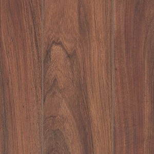 Havermill Sunbeam Acacia